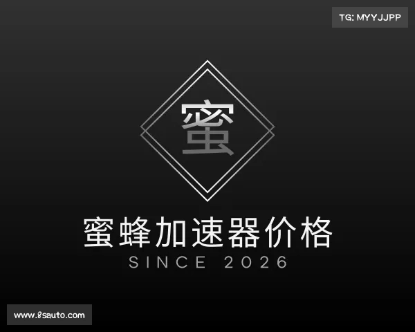 了解蜜蜂加速器价格